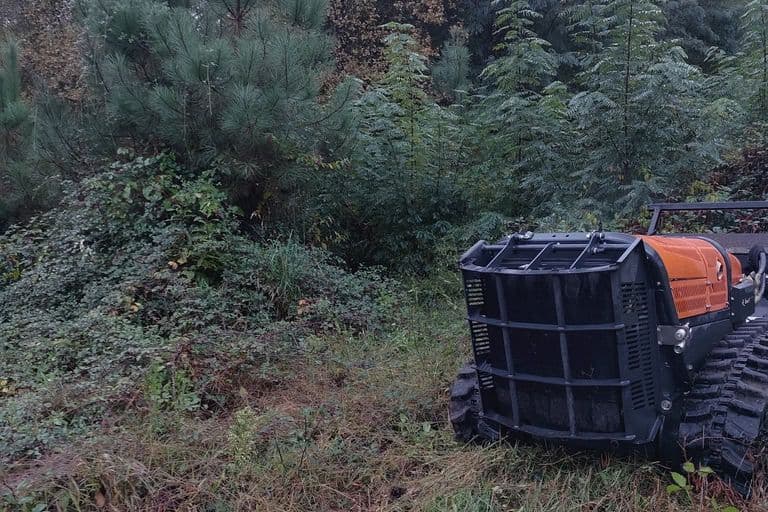 Services débroussaillage